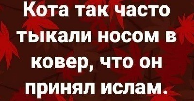 Субботние картинки