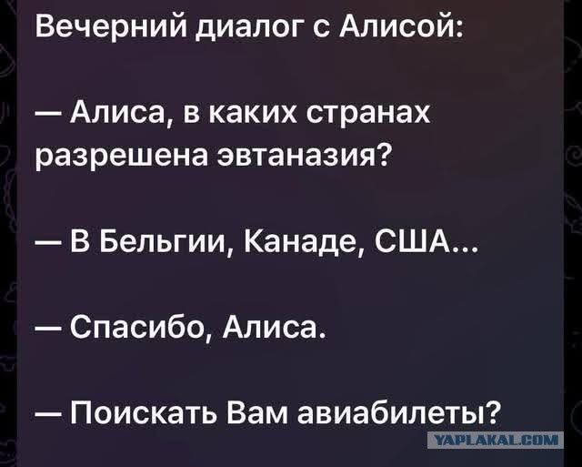 Потная гамсахурдия №5 (Картинки)