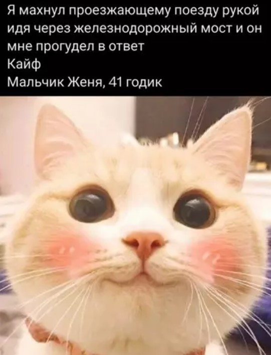 Картиночки, баянчики 09 июня