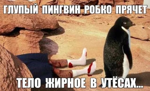 Чёрно-пошлая деградация