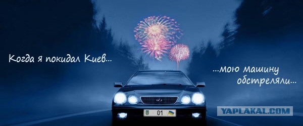 В закромах у Януковича