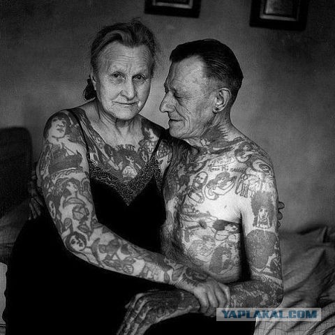 Самые креативные и остроумные татуировки.