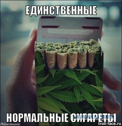 Картинки