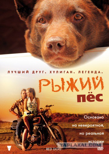 Фильмы, которые заставят вас расплакаться