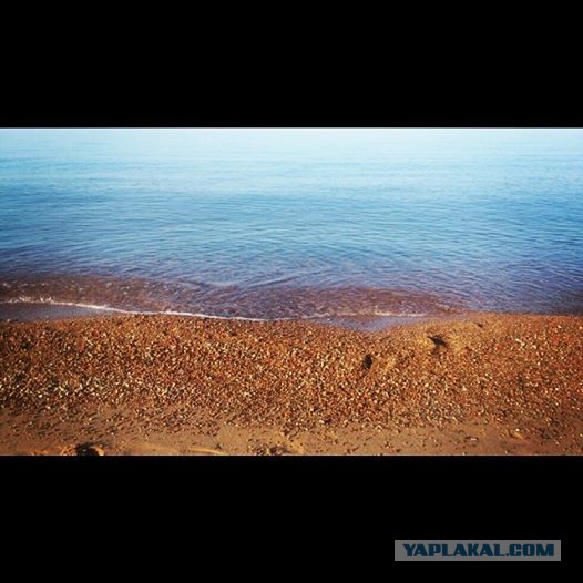 Наш день, без политики так как..