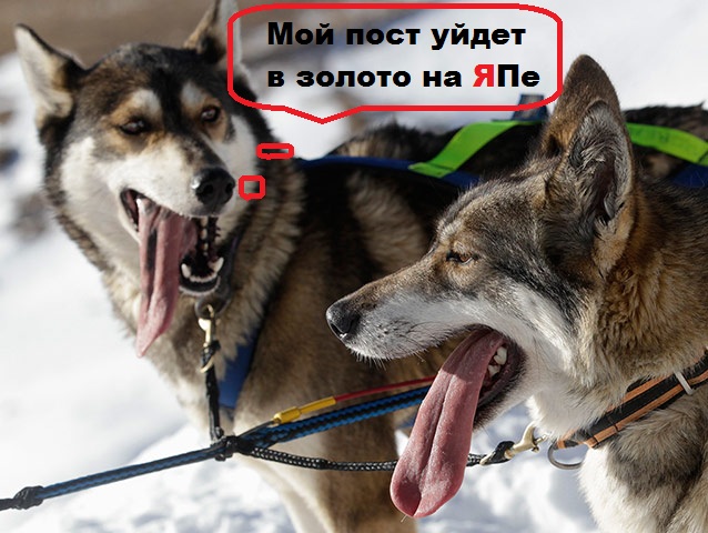 Некогда останавливаться