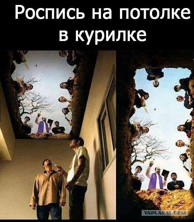 Весёлые картинки
