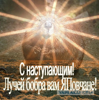 Мой самый худший новый год