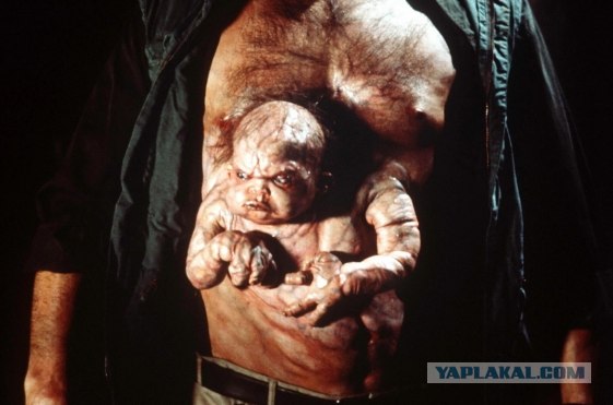Даже рыбки их любят!