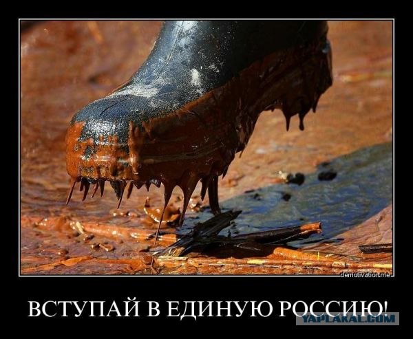 Единая Россия - Партия Неподкупных Чиновников!