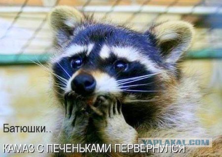 Выпивка на дороге и нулевое мародерство
