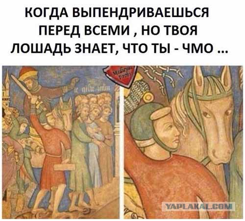 Средневековье проще сдохнуть чем ...