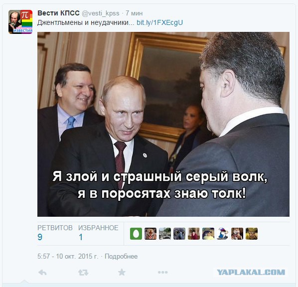 10 политических картинок часть 11