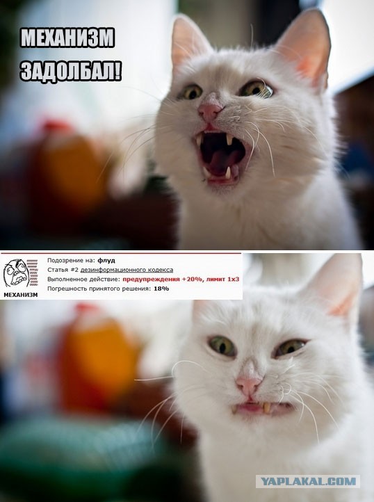 Картинки на субботу