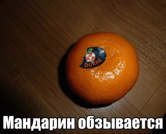 Забавные картинки из Сети