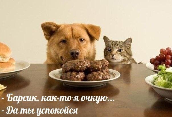 Отовсюду понемногу