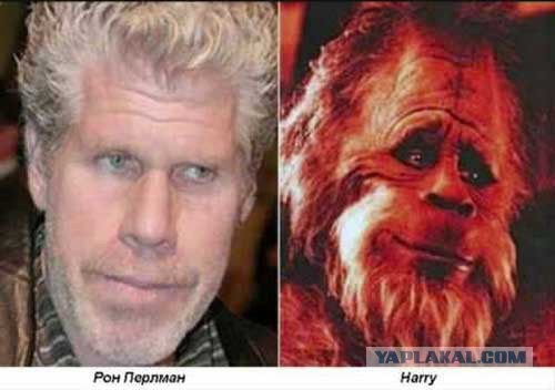 Бывают в жизни совпадения