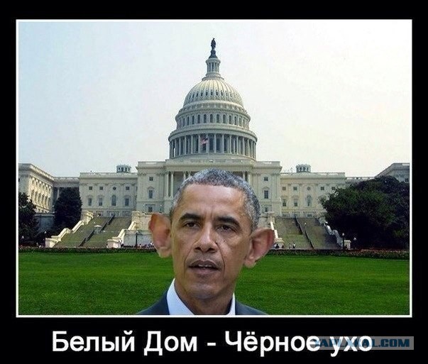 Подборка картинок