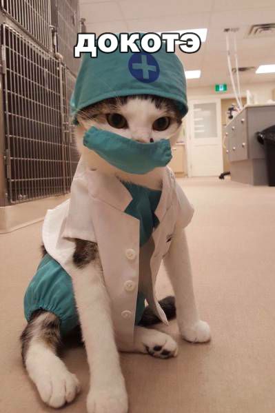 Подборка картинок