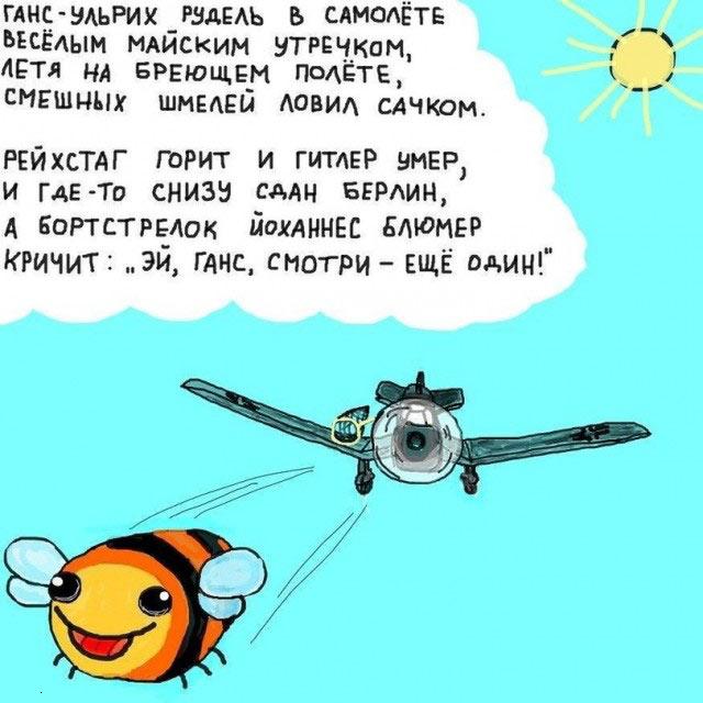 Большая подборка картинок