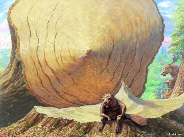 Как рубили гигантские секвойи вручную