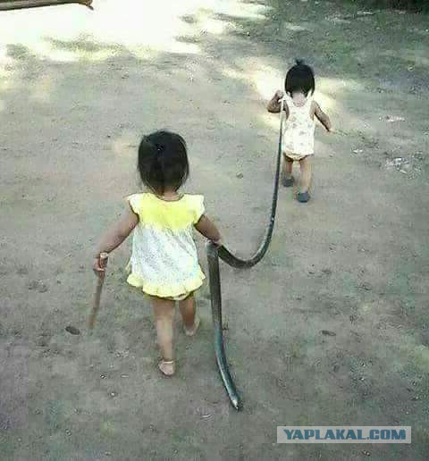 Подборка интересных и веселых картинок