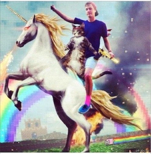 WTF: Что тут происходит?