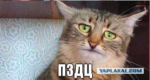 Астахов предложил отправить выживших на Сямозере детей на море