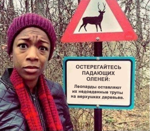 Странный юмор на пятницу.