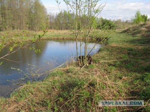 Хорошо иметь домик в деревне. История из жизни.