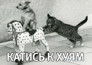 Троянские кони Владимира Путина