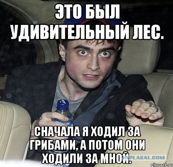 Раскрываем тему грибов