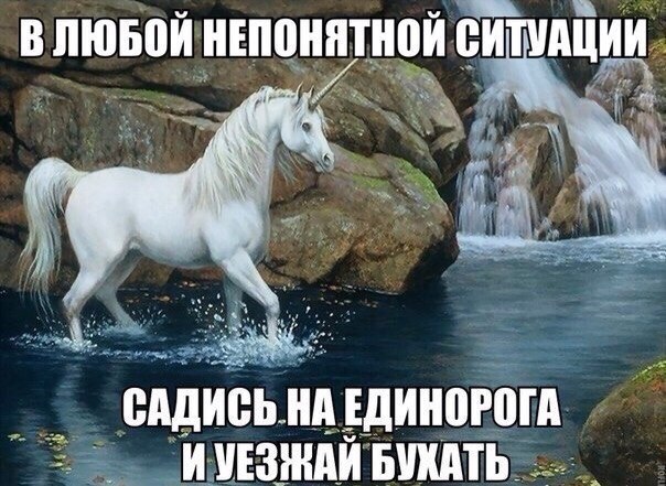 Алкогольный конец сентября