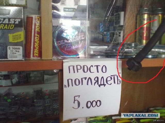 А ты бобрился сегодня?