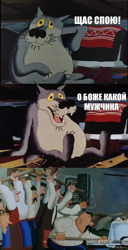 Убил волка охотившегося в городе.