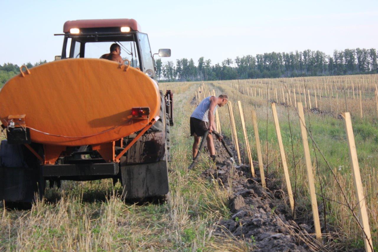 Аграрный опыт. Аграрный опыт. Аграрный опыт. Аграрный опыт. Сесть на трактор.