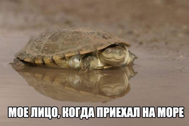 Очередная подборка школьной наркомании из соц.сетей