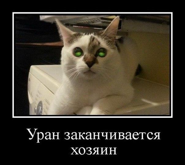 Картинки для поднятия настроения