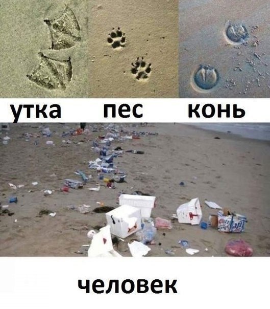 130 картинок для поднятия настроения!