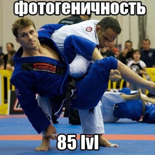 Эти ребята умеют оставаться максимально фотогеничными даже в самый неподходящий момент