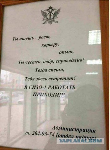 Подборка интересных и веселых картинок