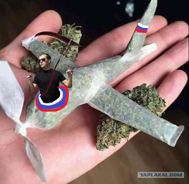 Медведев обязал россиян косить траву