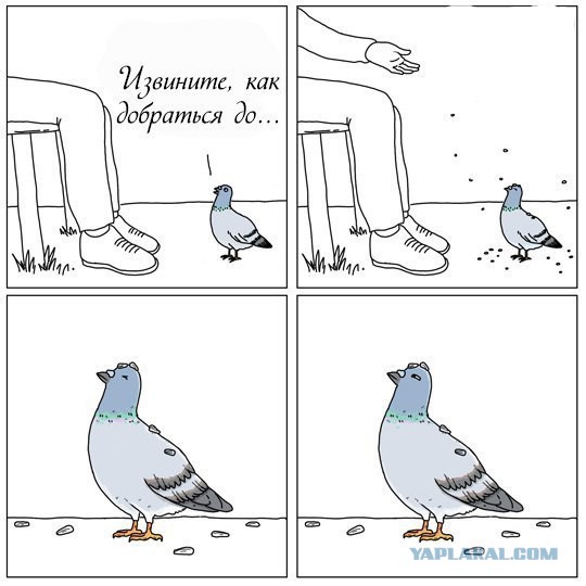 Запилю-ка я картинок