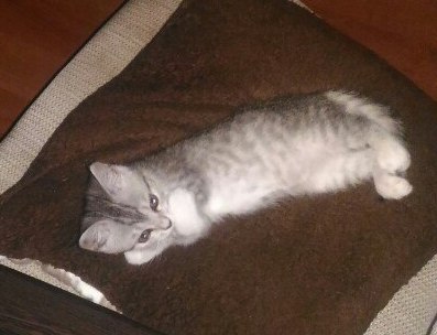Я сдался в рабство