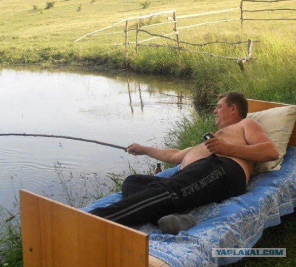 Вестник социальных сетей