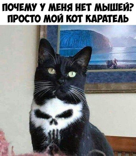 Немного милоты