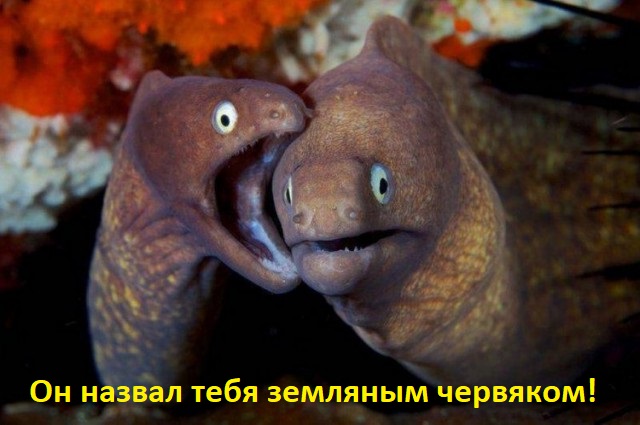 Немного картинок в эту среду