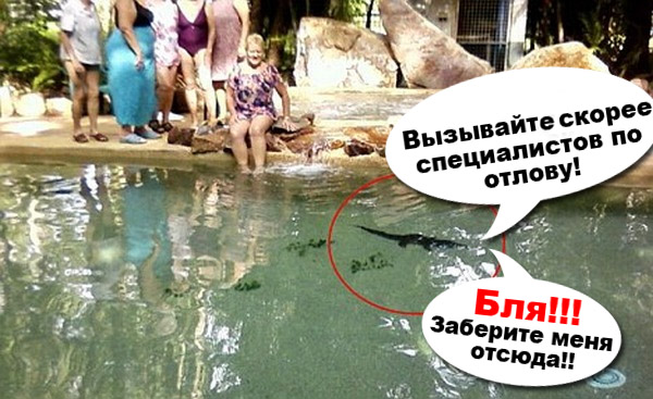 Крокодил распугал посетителей бассейна