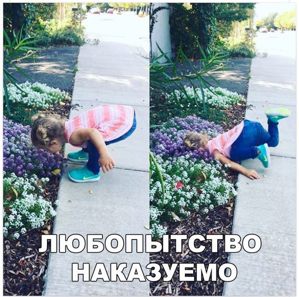 Немного картинок в этот понедельник