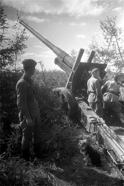 Красная армия в боях 1941г